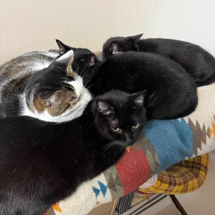 Ec783a0f de3e 45d8 821d 5dc88ab55e5e 1763168328565