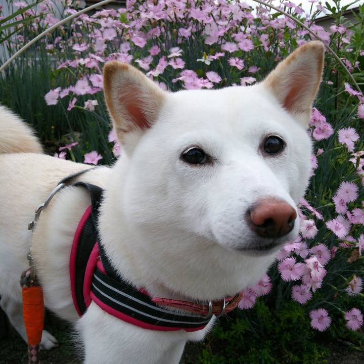 Ec789ec6 f15d 4fcf a5f4 f0e6dc14141c 1559273895742