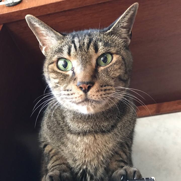 Ec78cdd5 1d13 4d8e bf4e 3cdeb5c21911 1534294194759