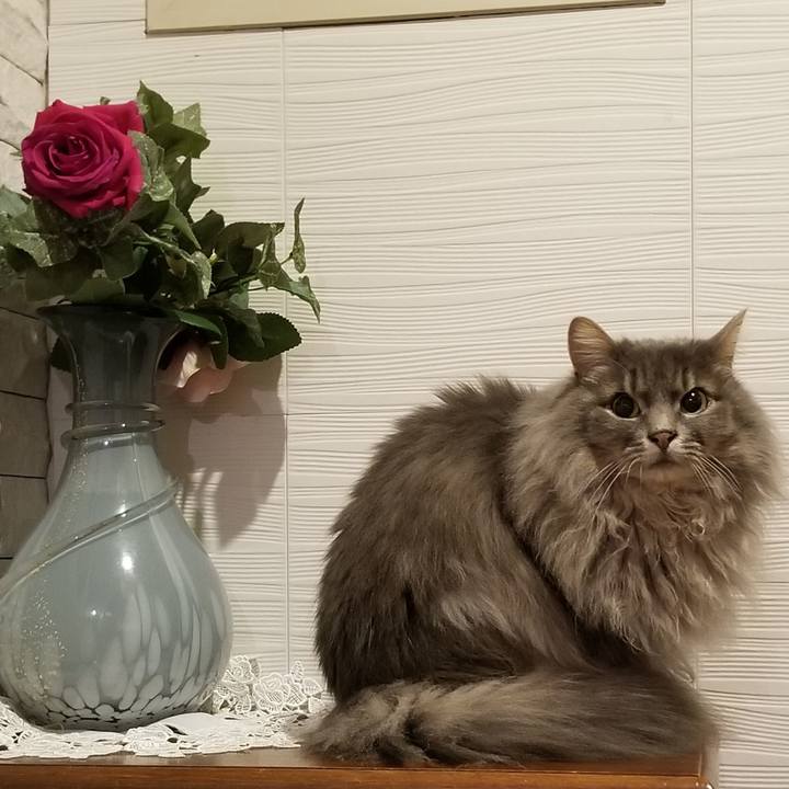 Ec78eb9d 7622 43d9 9e33 a5664f274624 1582119145686