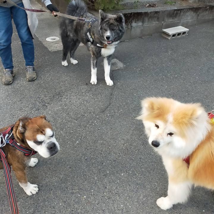 Ec791d79 27f2 450b 9419 decd13c8efe7 1648294336329