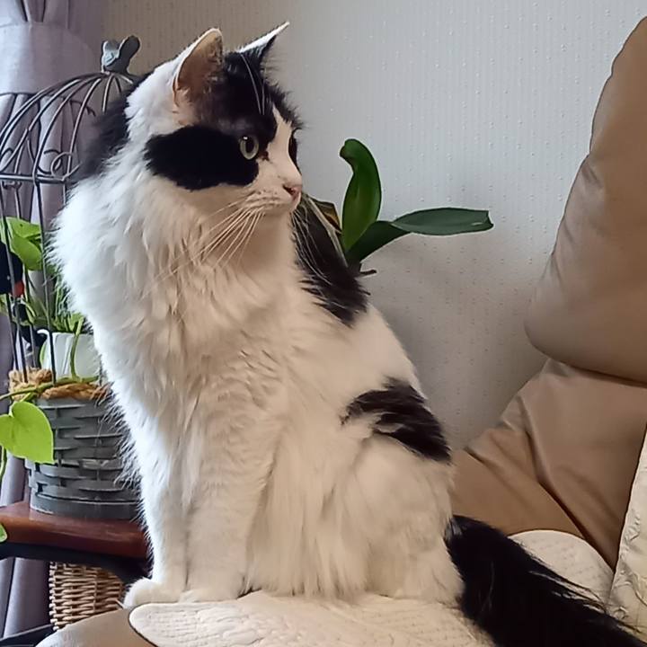 Ec791fdb c97c 4f3c b617 712f558ec6d4 1665011683097