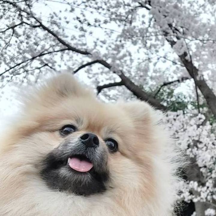 Ec792531 34d0 40b6 a5ce f2d0d8133dc3 1648857668863