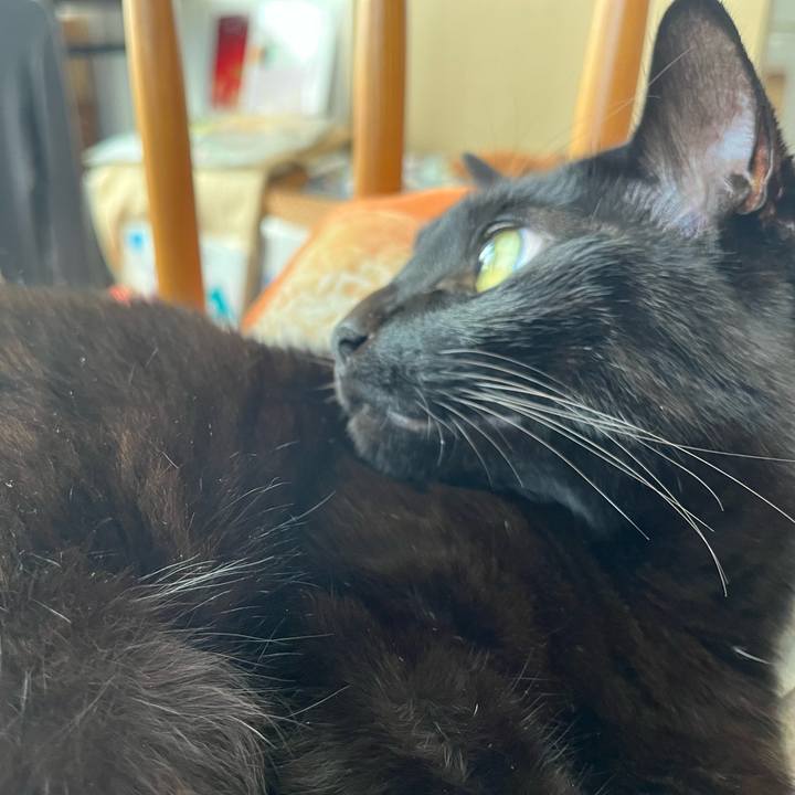 Ec7994a8 6209 46c8 abd4 06881f46ce48 1711777996191