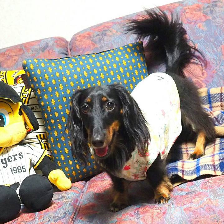 Ec79c301 9b27 4b9b 8fdf 1ae88eacbef7 1507854551710