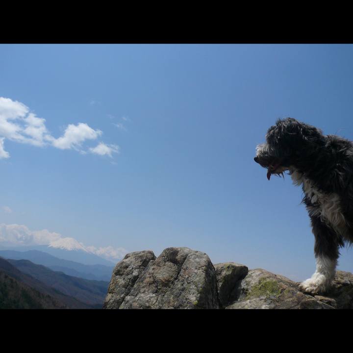 Ec79c4b2 594e 4bf7 8ace 68506640e02b 1614321351041