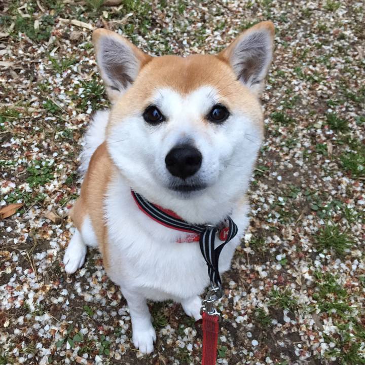 Ec79e71e aefc 46e6 86cb 23080fd3ab6c 1520734774936