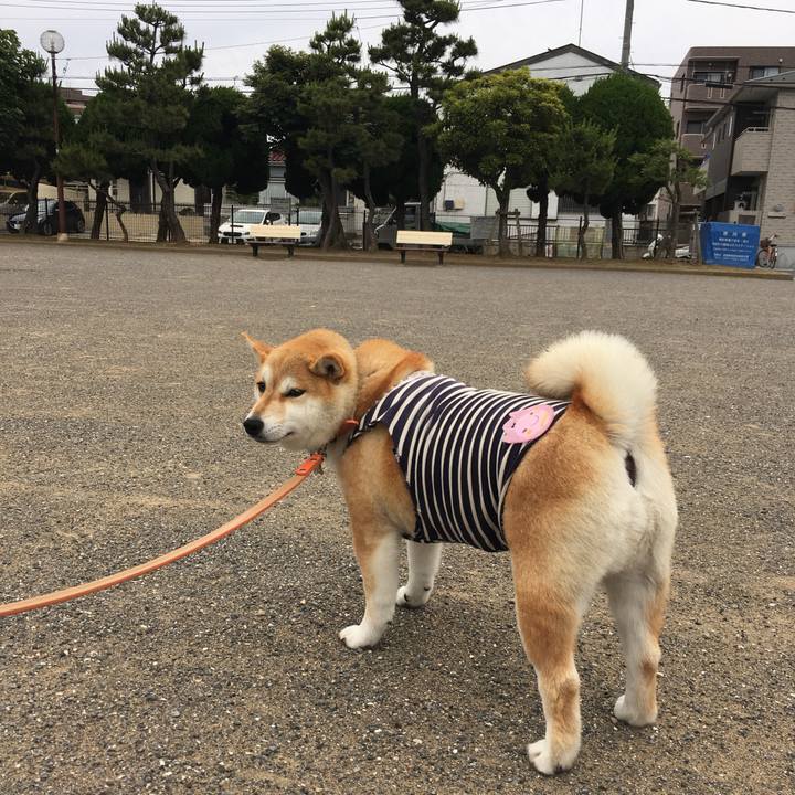 Ec79e788 4838 44f4 8e01 b00131ec7fac 1560502584158