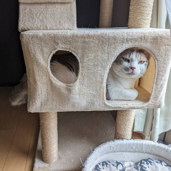 Ec79ed44 8720 4320 95c0 d21dda3fb415 1718017243687