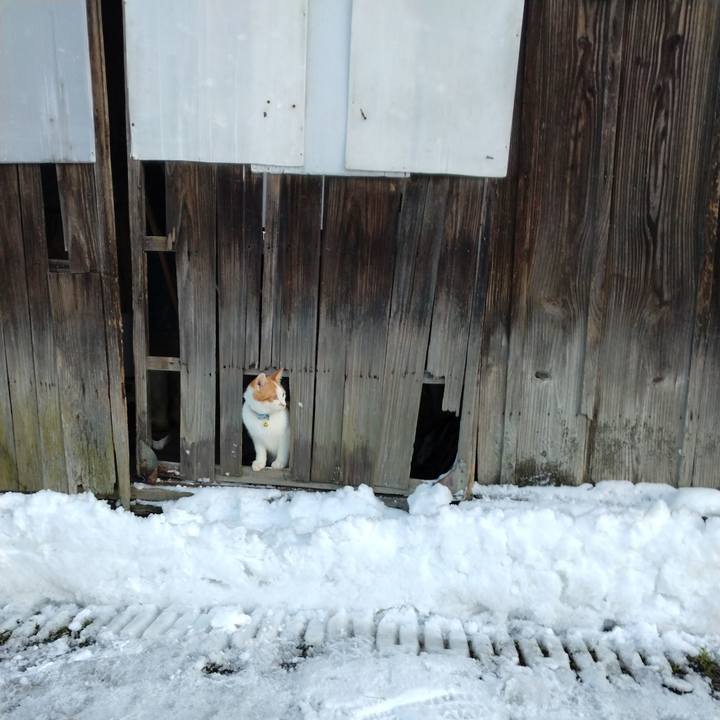 Ec7a3cce a499 469b afe5 7c785d48cf91 1735526533718