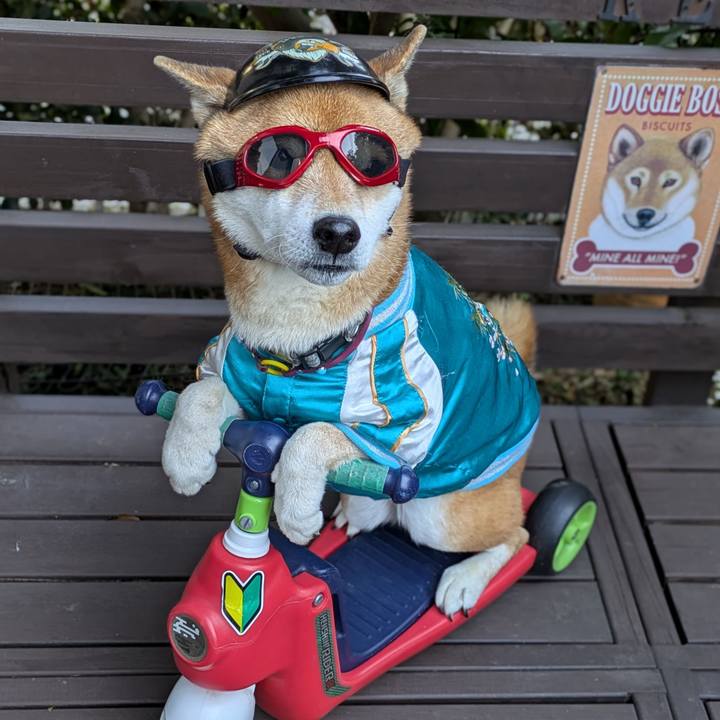 Ec7a4a53 5e15 4ac3 89d8 9503754c322d 1736432228199