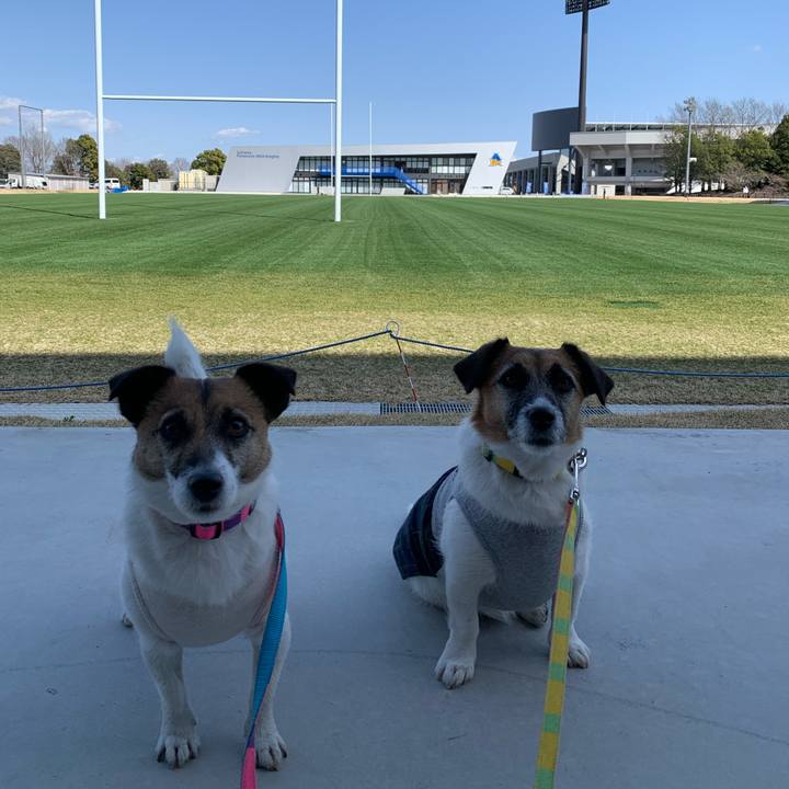 Ec7a51b5 7191 4f77 9258 8223390ae06e 1647873214142