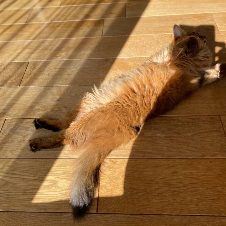 Ec7a60fd 3444 4616 aeab a8398cc2ee16 1670313722140