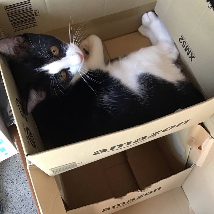 Ec7a6cae 936e 4222 8408 d52f2782ed59 1632736671354