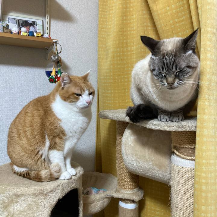 Ec7ab78b abf1 4e85 8318 60b893f44774 1774012708841