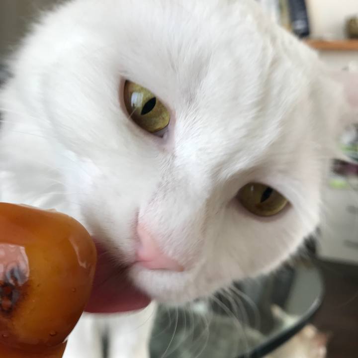 Ec7af47c fb6b 406d bff1 38ac493281ae 1536725182214