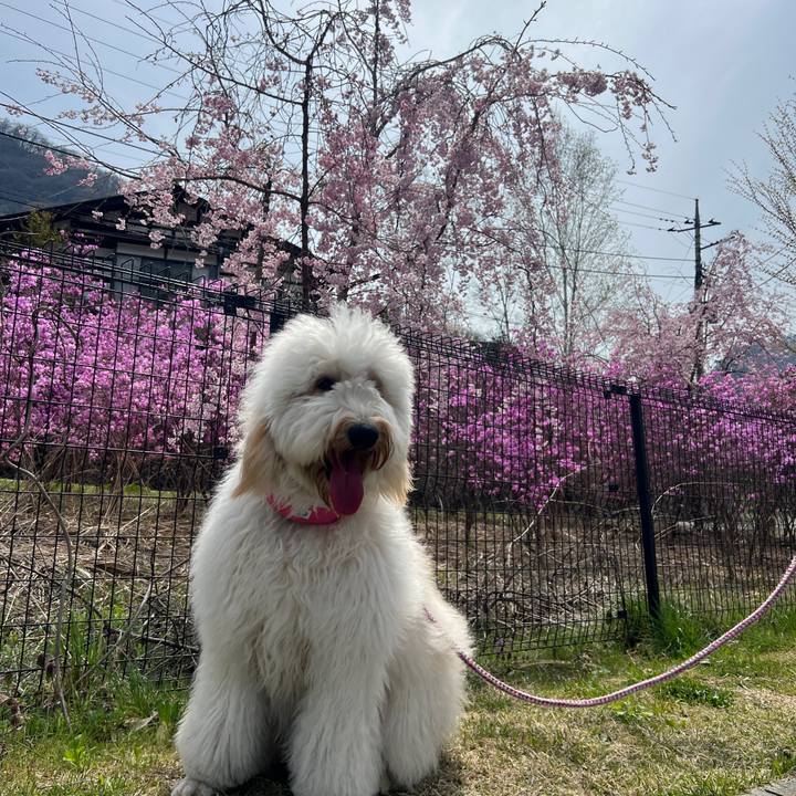 Ec7b4acd 0308 45ba 9ad3 dd5a195333af 1744968452581