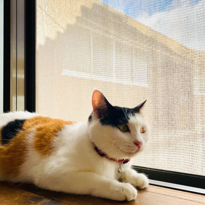 Ec7bc7b6 b35d 4e94 9b19 5ebdd9211d99 1691284627267