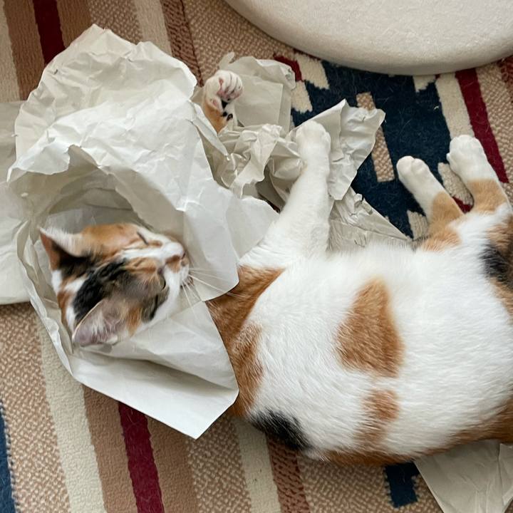 Ec7bcc4b 047b 493a b245 1d69a0182307 1630974786587