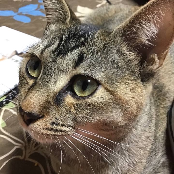 Ec7bd132 ab41 4c25 b398 f22531247179 1577360210304