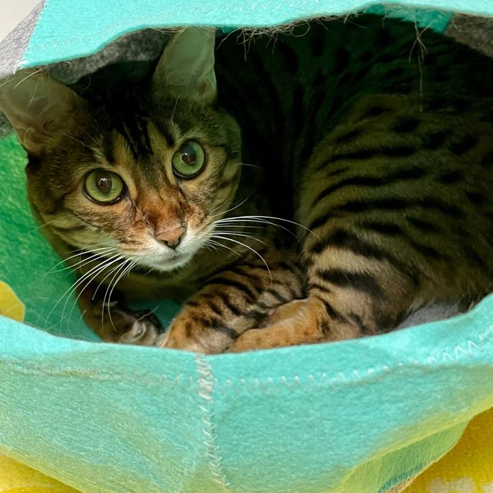 Ec7bd58e b91f 4e72 9e91 bb68e63c6db5 1661660139312