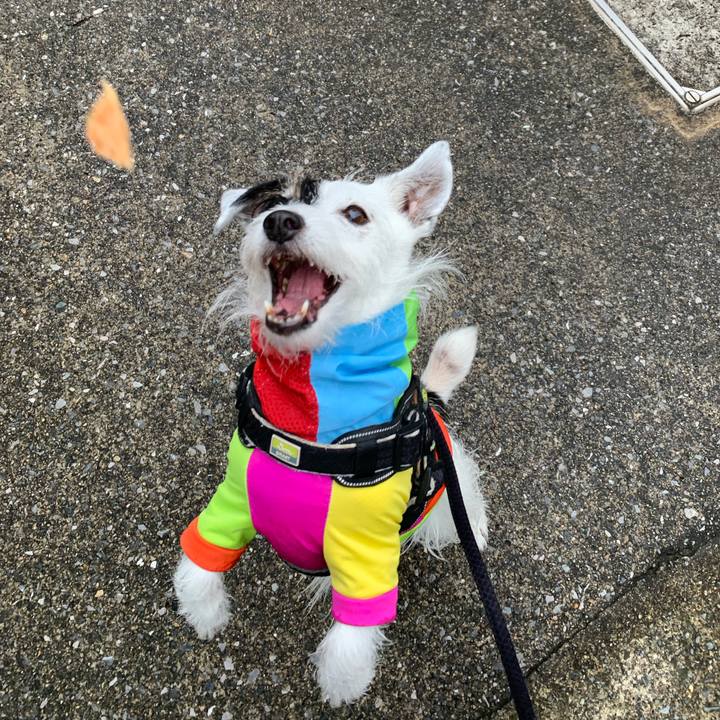 Ec7c32c5 7536 4264 8781 6a02e4b86d74 1752447040020