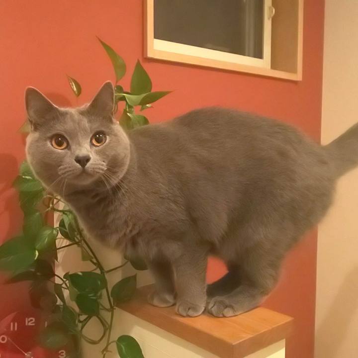 Ec7c7527 b1ea 4104 a79d f8ed4946010e 1570511046740