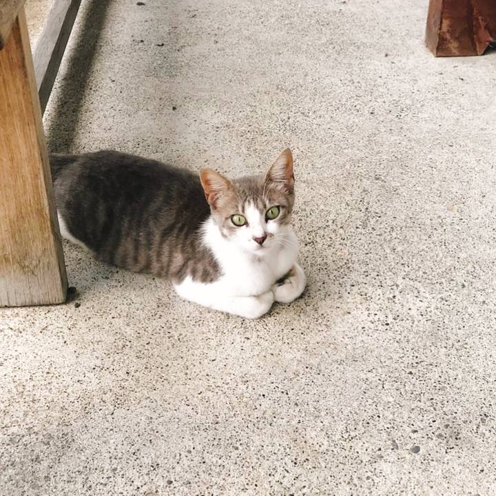 Ec7c7f34 0795 4728 b287 4c16df6e647b 1535881291488