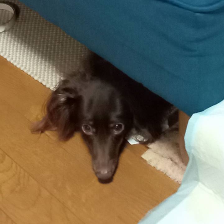 Ec7ca107 dcb0 4bb1 91a7 13c241deabae 1756849744714