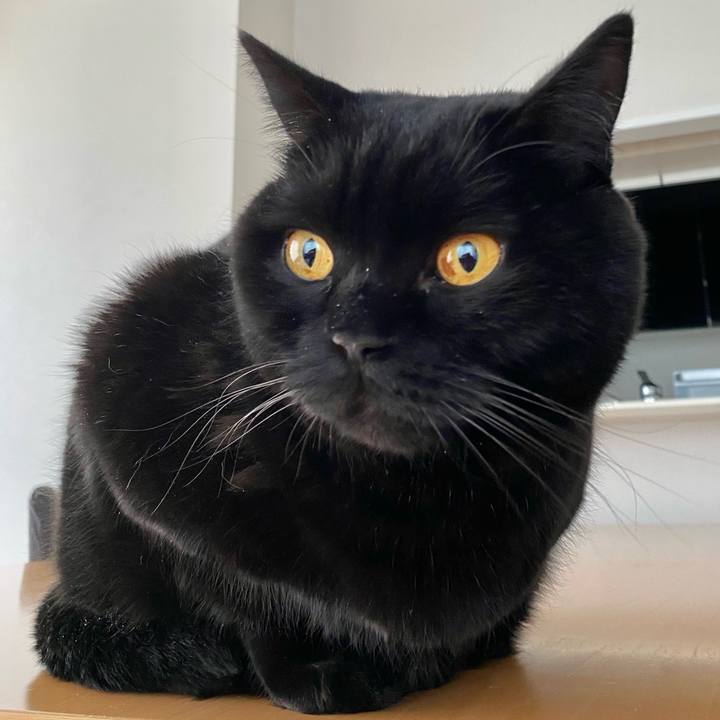 Ec7cb739 9e15 4c08 bb80 93cba83fecd1 1640902135741