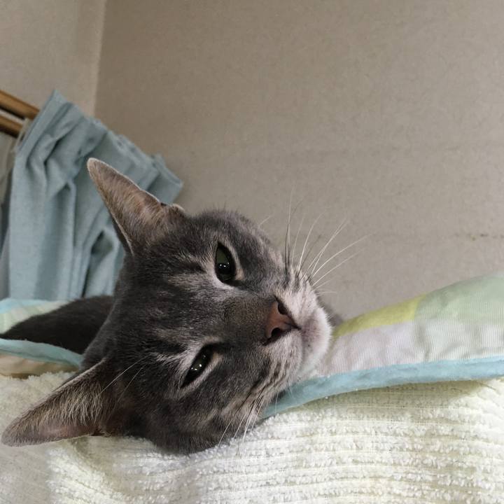 Ec7ce35e 79e9 421b a048 0ca6bfe2d747 1592992588436