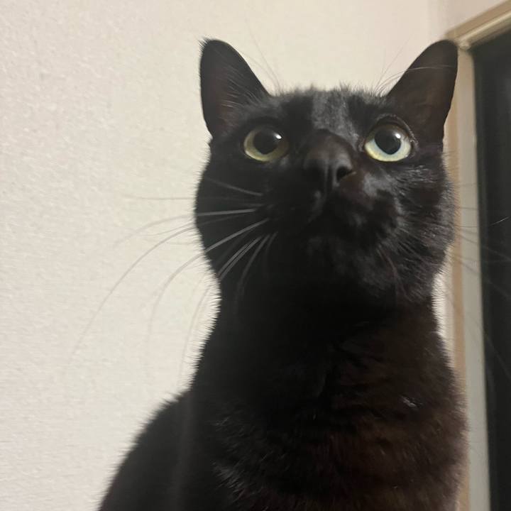 Ec7cfc74 47c7 4de5 a905 adcb5ed3e3a3 1709771859126