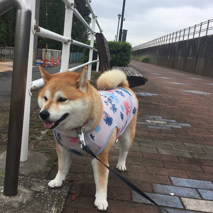 Ec7d06c2 a5ca 4e7a 8acd aee15b063a12 1568427454750