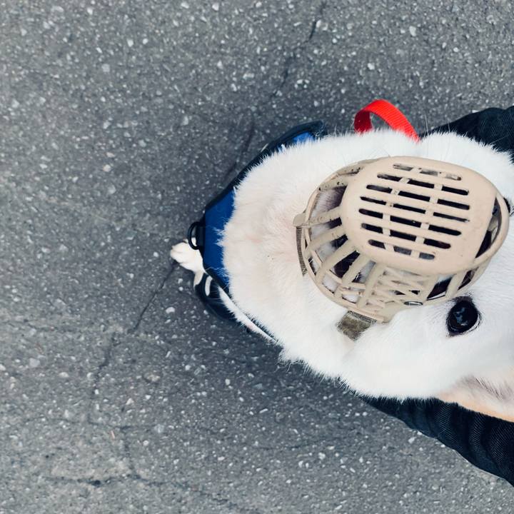 Ec7d0a78 a5a3 46c3 97c0 c3d9474156a9 1622494721153