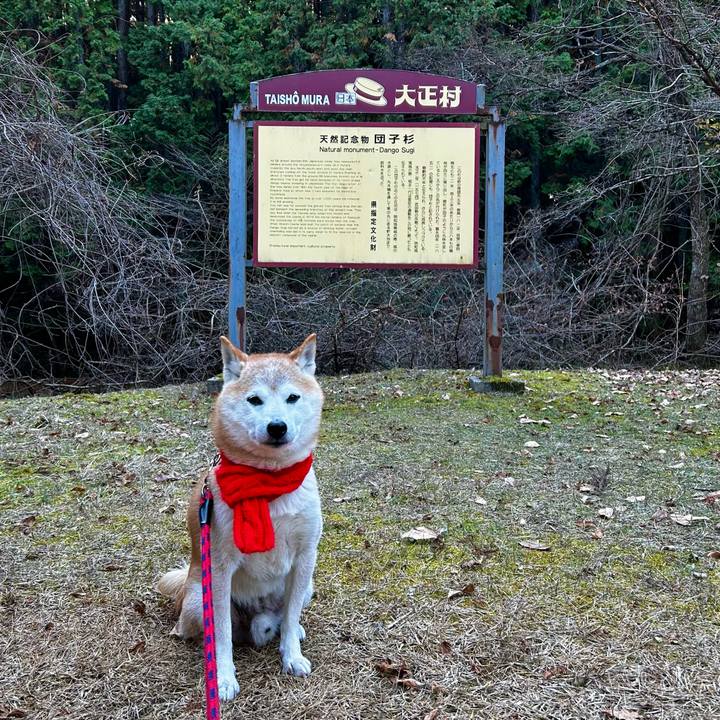 Ec7d21d5 afbf 42af 9171 a4308de2ebaf 1765536873628