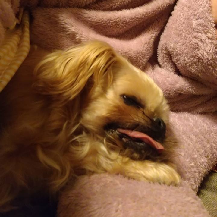 Ec7d27c8 d6d0 49a8 baf6 cf67d1c5779b 1613395682889