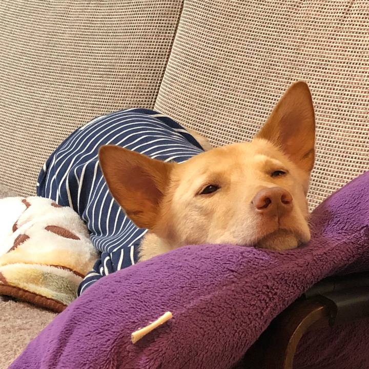 Ec7d3fc9 1906 42f7 84e5 ae960c90132a 1706707100238