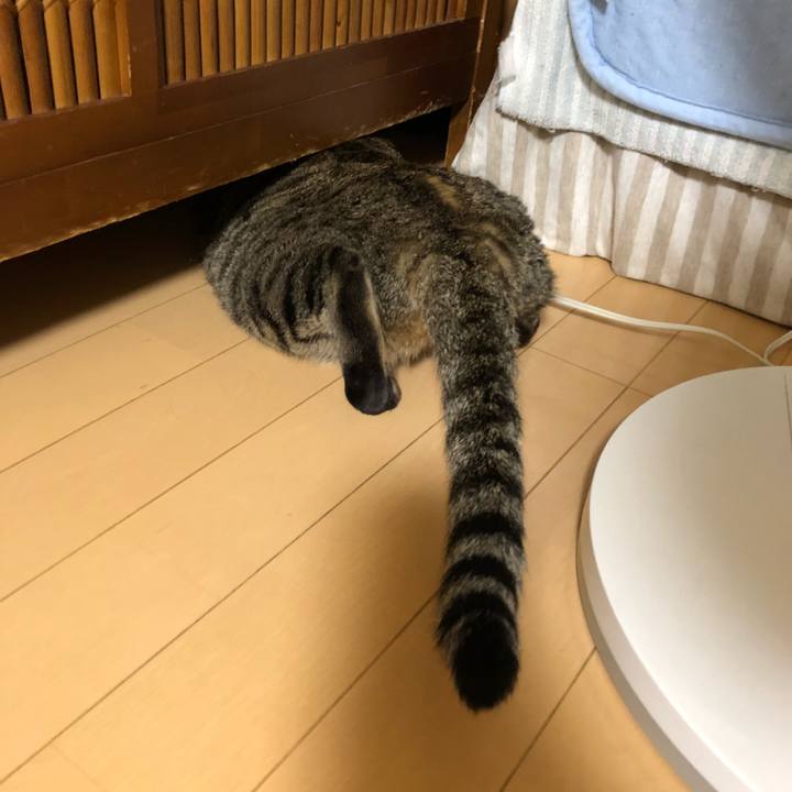 Ec7d41a0 eb90 47e6 9148 0746cf126011 1530644437533