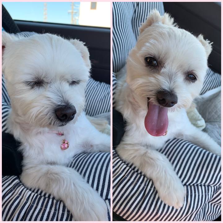 Ec7d6122 fb9d 4935 ae9e 4997068b1b90 1602761571933