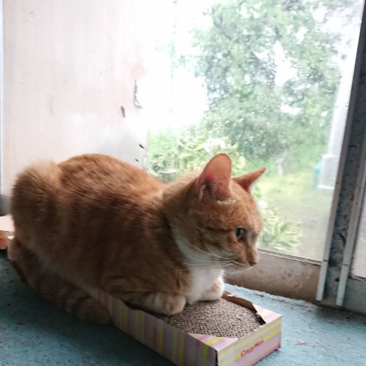 Ec7db098 0bf3 4291 85f4 aacf0e853c22 1595928836089