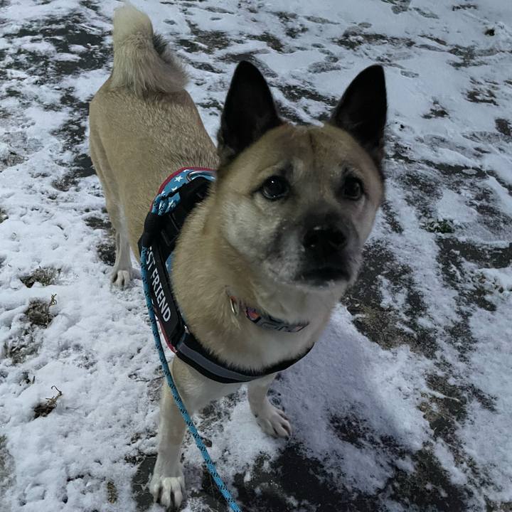 Ec7dbe30 bb57 407d 95eb 2ddffe655ea1 1706100790822