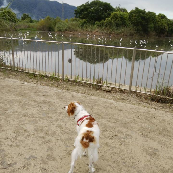 Ec7e05d1 c02e 4970 a48a 0fec99c640d5 1533881142195