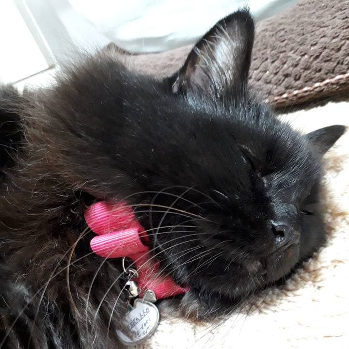 Ec7e087c 6399 4f0f a565 b16b61282198 1542448819259