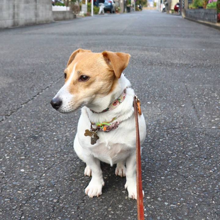 Ec7e18e1 5c5b 4178 bb8a 7339909268b9 1549177032663