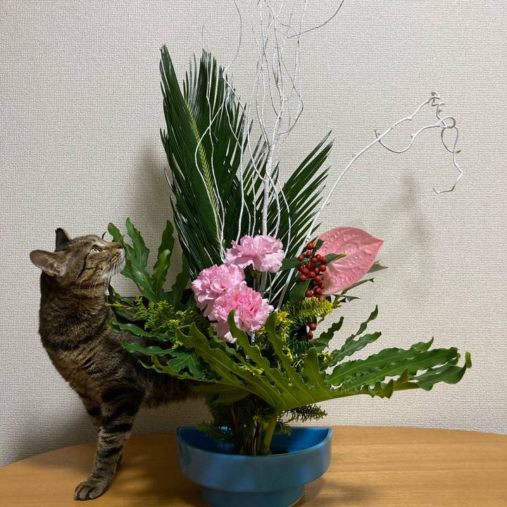 Ec7e2609 4a2e 4791 b1be 1cc1f0932b32 1638697390744