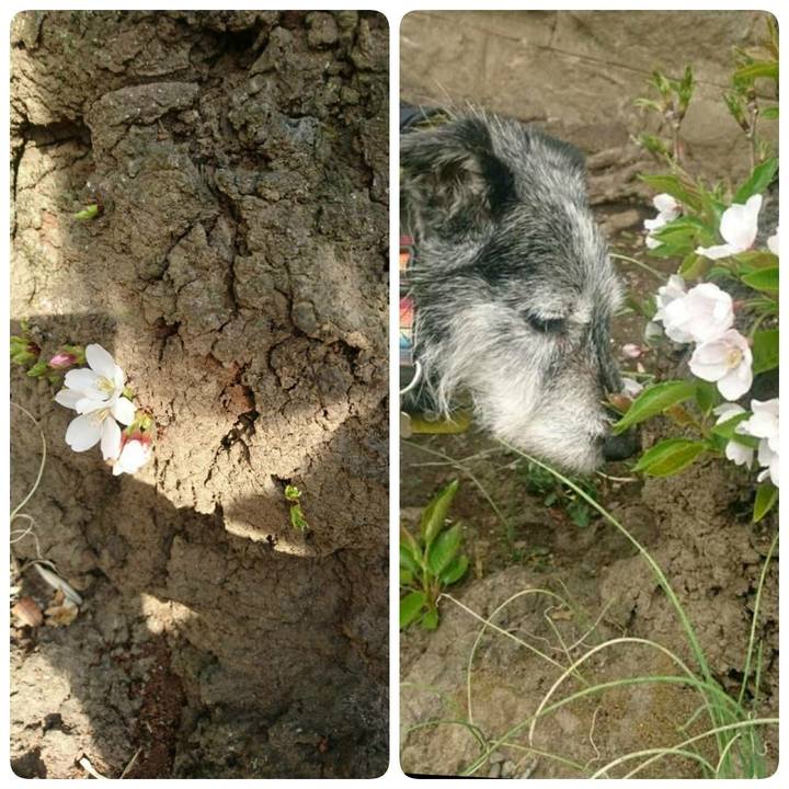 Ec7e433f 8c6f 421f ada7 90082223b8b5 1521114797047