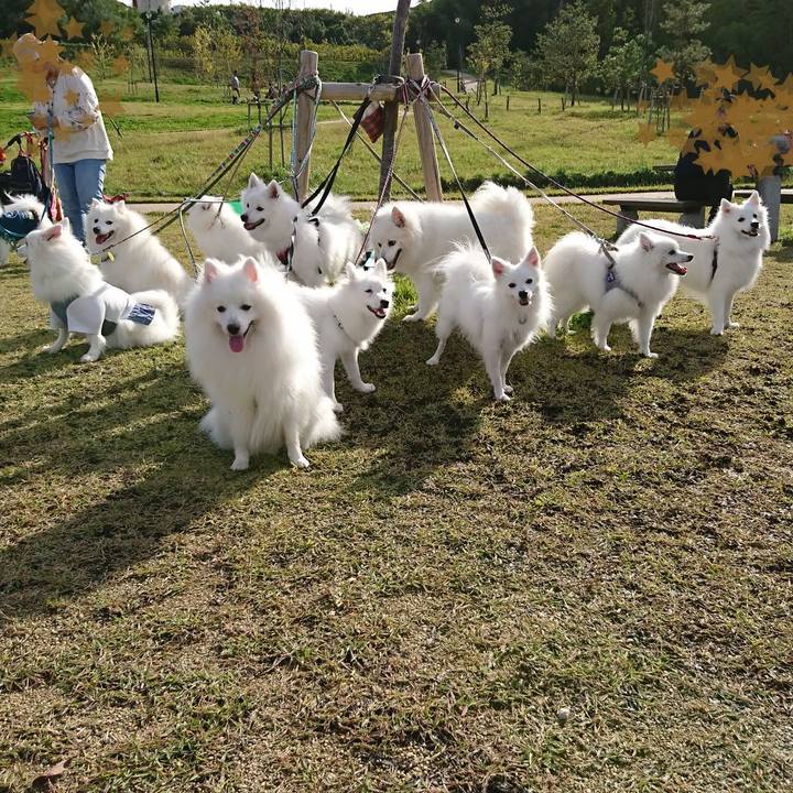 Ec7e7c7b 65d3 46ce b3e0 e379e6b8957f 1571666586255