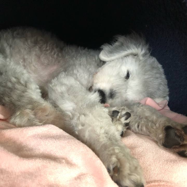 Ec7e96de 3b7e 45e1 806d 318e125eca35 1701472130450