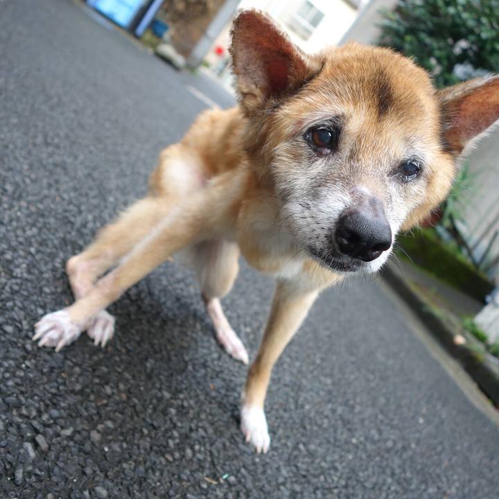 Ec7ed6de d977 446e 8994 11bacf6ca0f3 1568622030870