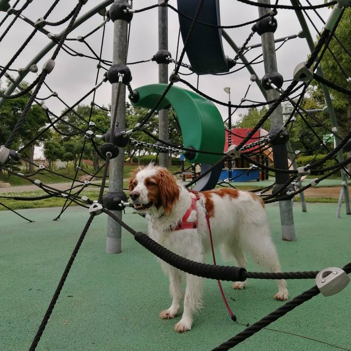 Ec7eddd5 3a31 42cc abc5 2bd5099b214f 1621414825677